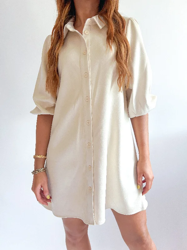 Suede Button Down Dress